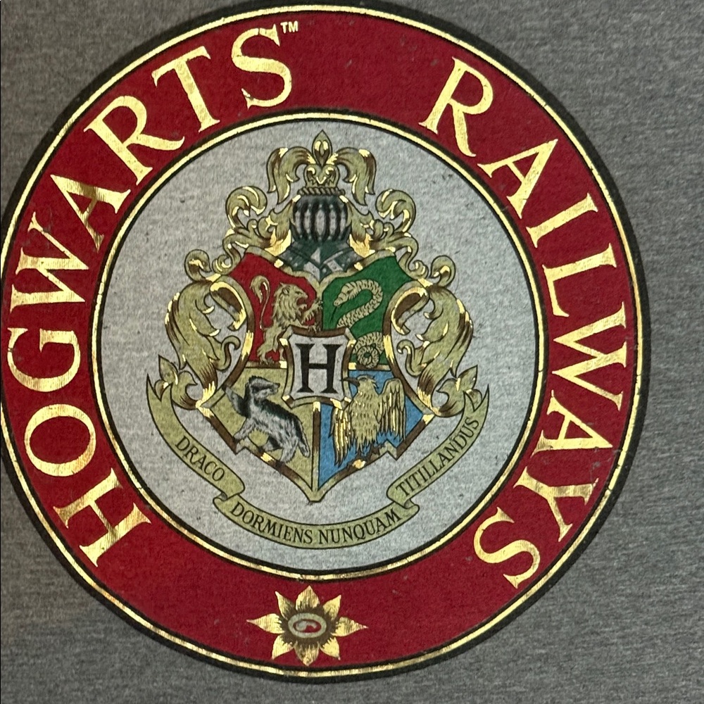 Harry Potter Hogwarts Railways Gray T-Shirt Universal Studios - Picture 3 of 6